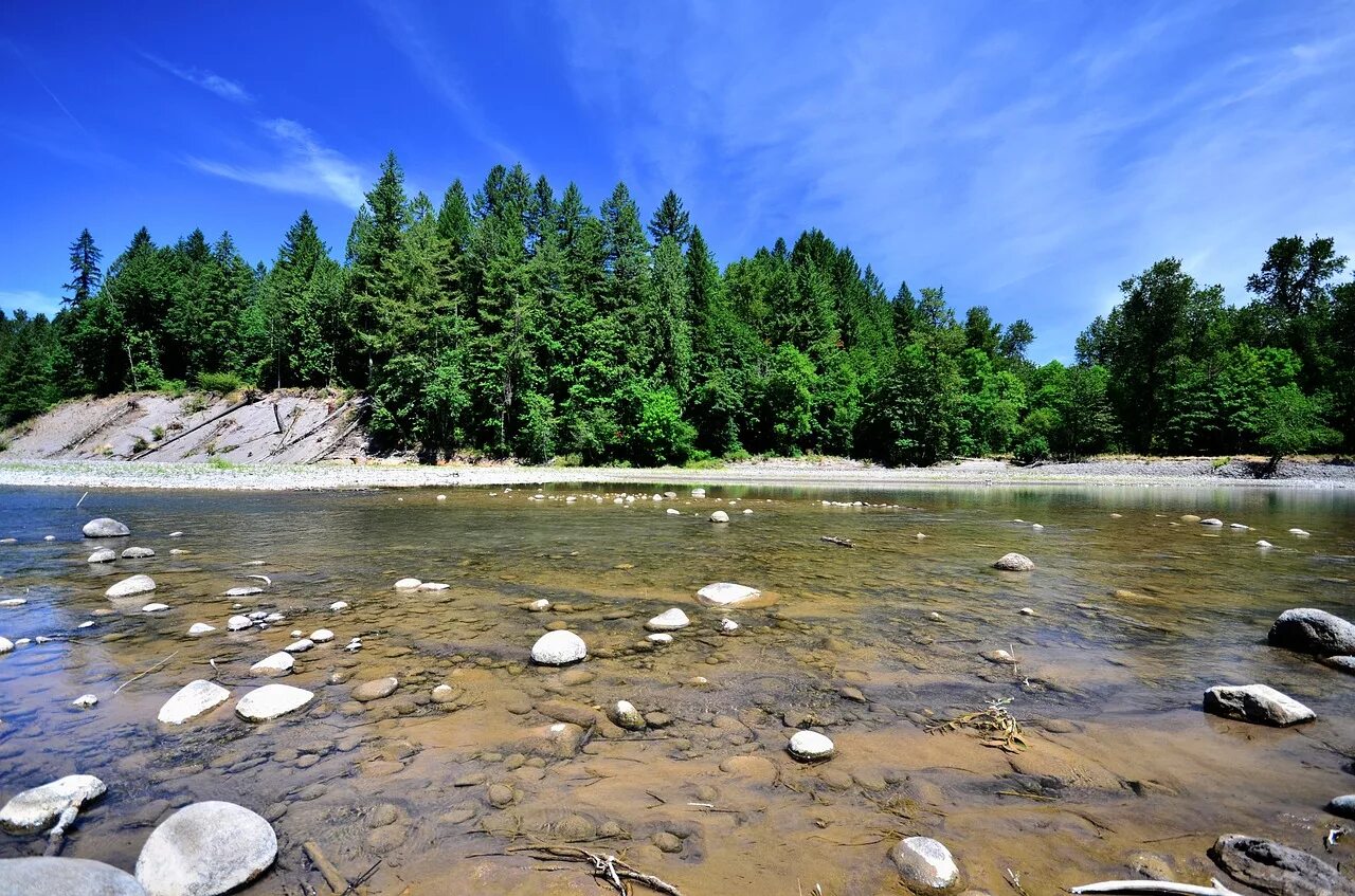 Чистая река. Вода река. Чистая вода в реке. Прозрачная вода в реке.