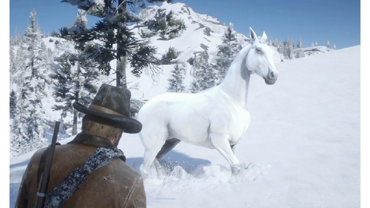 Где найти хорошую лошадь в рдр. Red dead redemption 2 лошади. red dead redemption 2 арабский скакун. арабская лошадь рдр 2. арабский скакун ред дед редемпшн 2.