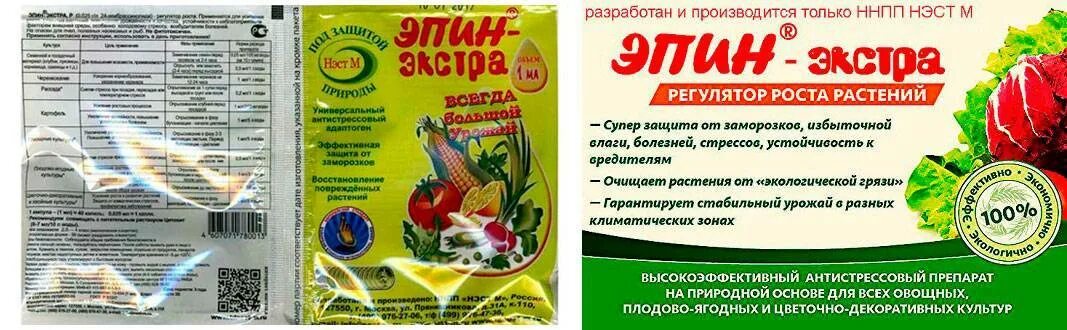 Циркон для рассады томатов