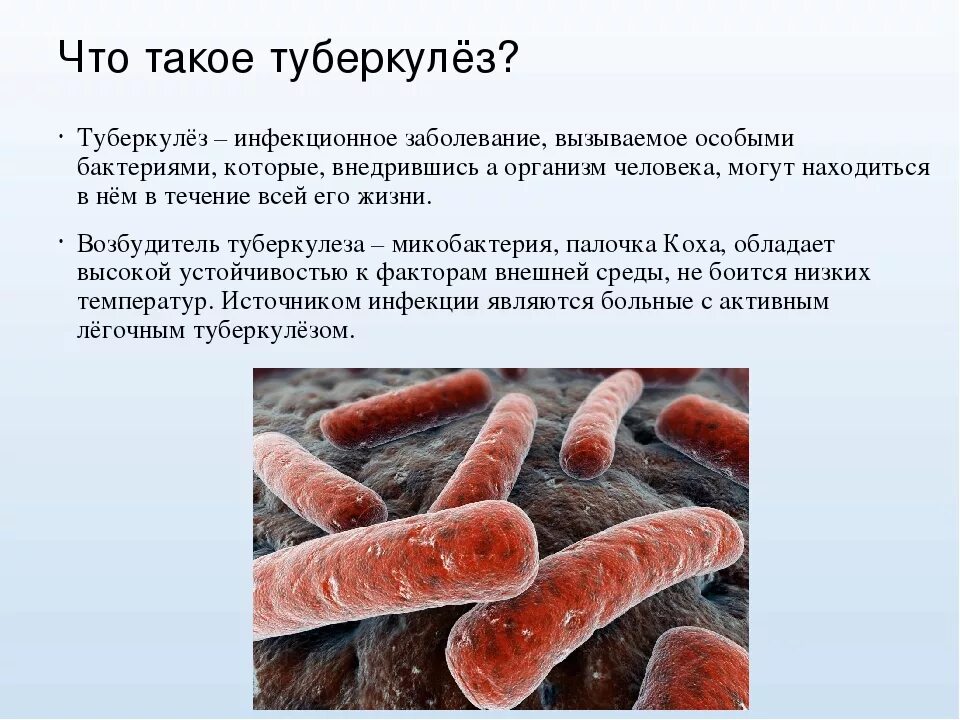 Туберкулез это. Туберкулёз это заболевание. Туберкулез это инфекционное заболевание. Бактериальные заболевания туберкулез. Заболевания вызываемые микобактериями туберкулеза.