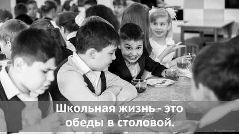 Один год из жизни школы