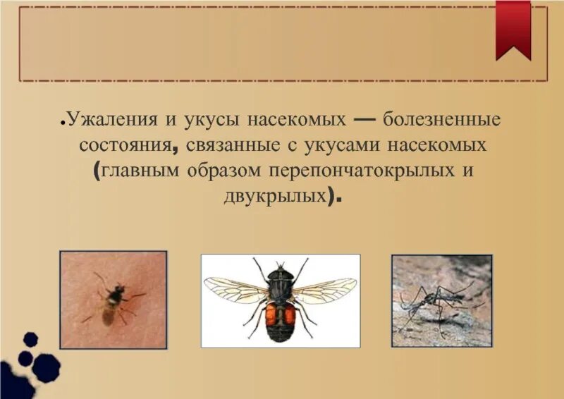 Укусы насекомых сообщение. Классификация укусов насекомых. Укусы насекомых и защита от них. Укусы перепончатокрылых.