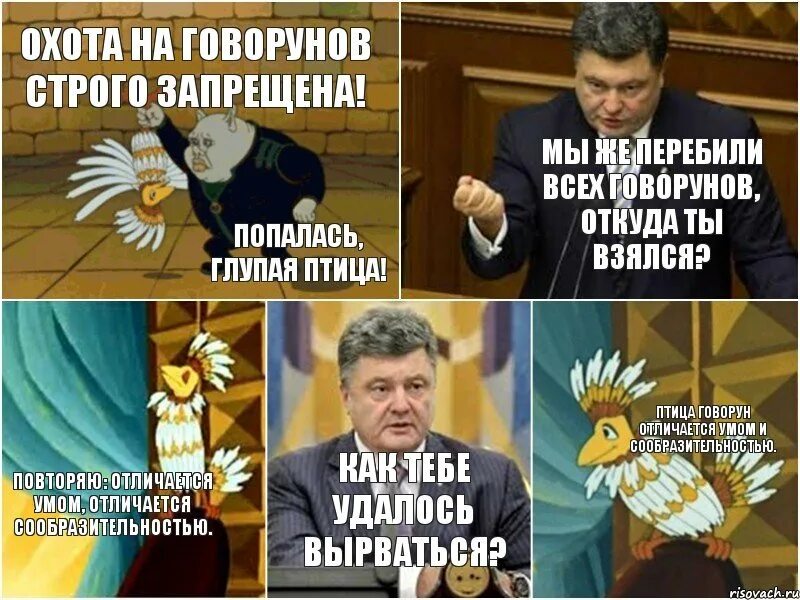 Отличается умом и сообразительностью. Птица говорун отличается умом и сообразительностью. умом и сообразительностью. обладает умом и сообразительностью. птица говорун прикол.