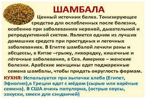 Как принимать пажитник для похудения