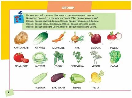 Овощи овальной формы