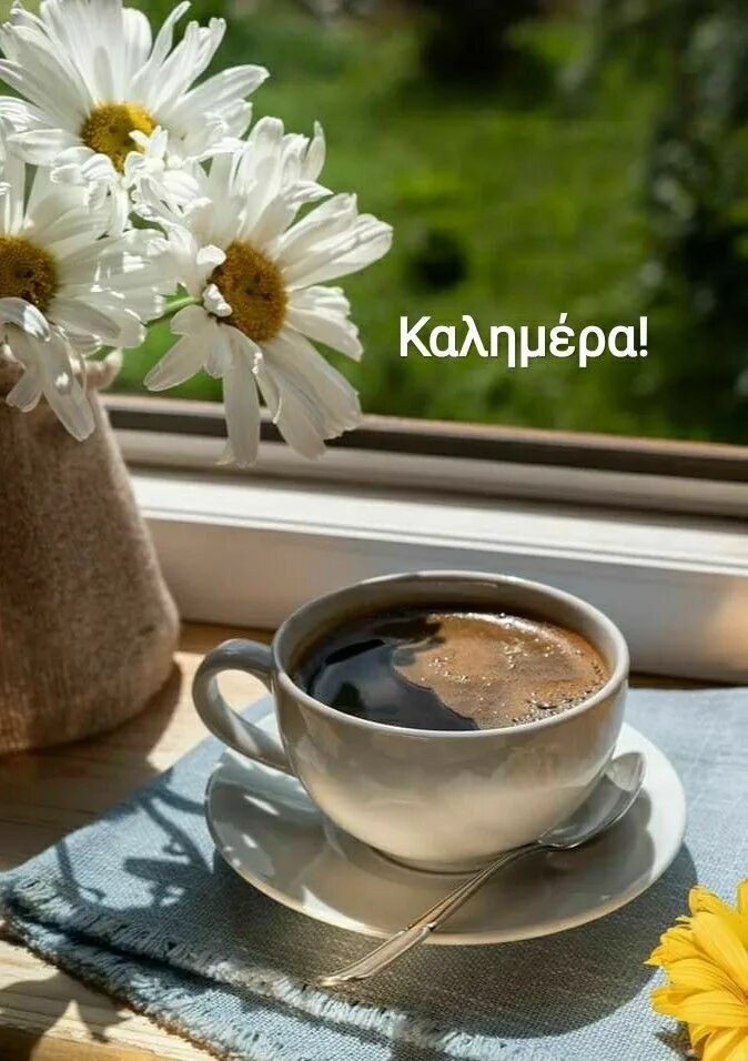 Утро июль кофе. Утро кофе солнце. солнечное утро и кофе. доброе утро кофе. чашка кофе солнечный день.