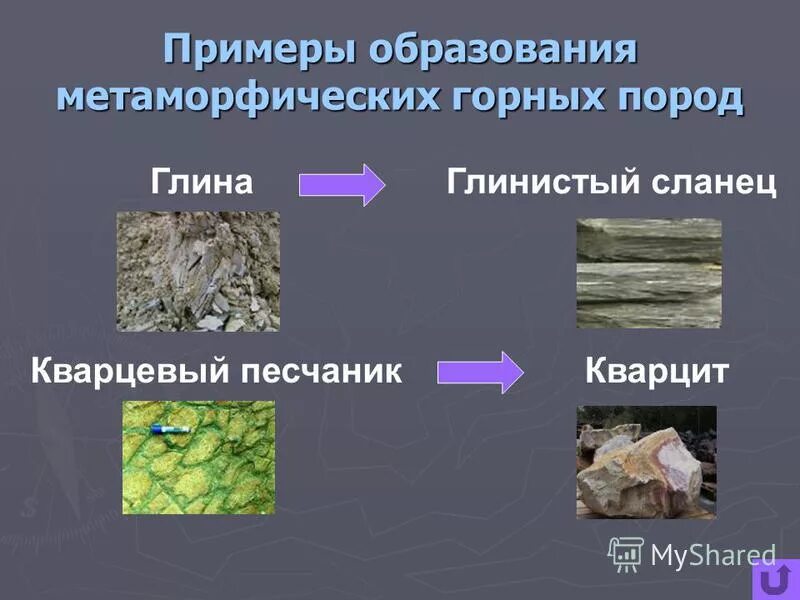 Метаморфические горные породы минералы. Метаморфические горные породы примеры. Метаморфические горные золотоносные породы. Полезные ископаемые в метаморфических породах. Магматические горные породы образовались в результате.