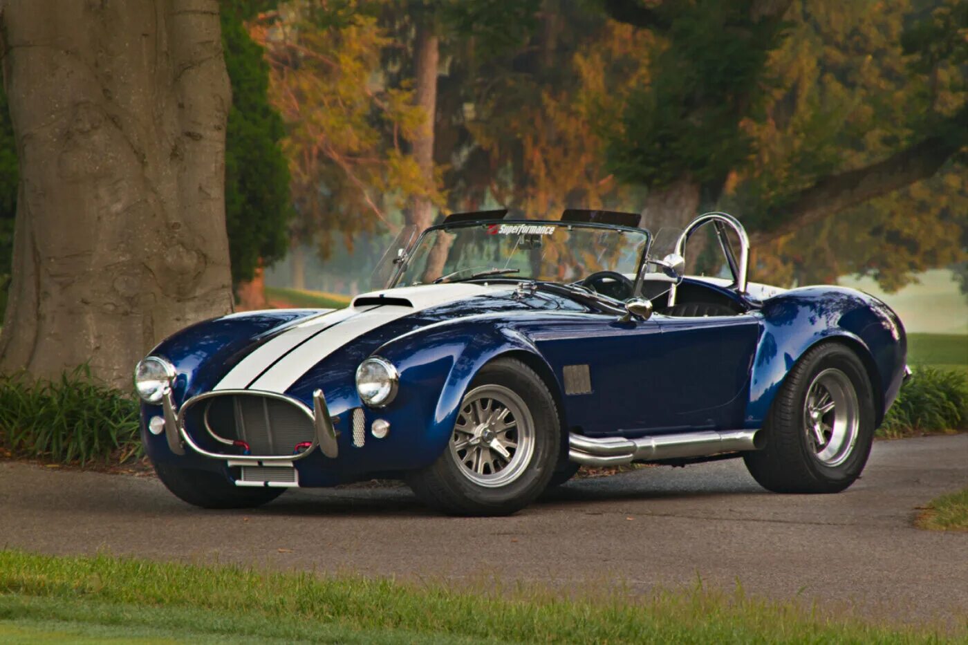 Cobra перевод. Shelby Cobra Kit. Кит кар Шелби Кобра. 420 Shelby Cobra.