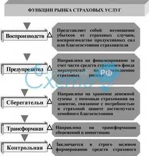 Функция рынка услуг