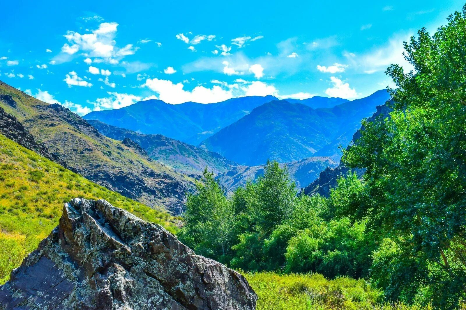 Алматы мерке. Центральная мечеть (алма-ата). Мерке горы тянь шань. Алматы мерке. Алма-ата столица казахстана.