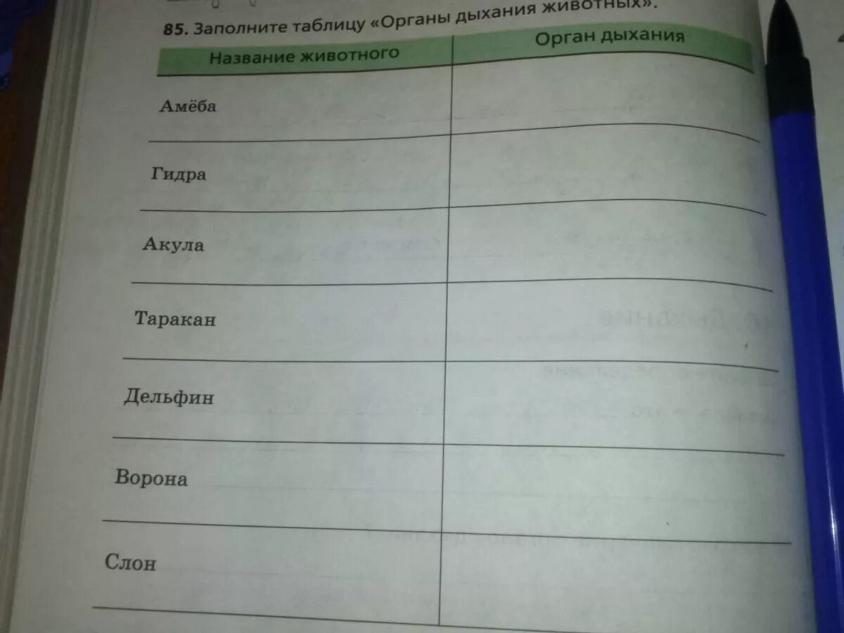 Заполните таблицу органы дыхания животных. Заполни таблицу органы дыхания животных.
