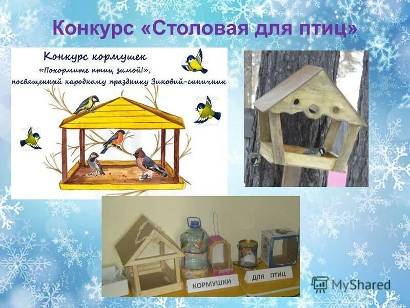 Столовая для пернатых. Столовая для пернатых. Столовая для птиц. Столовая для пернатых. Птицы зиновий синичник.