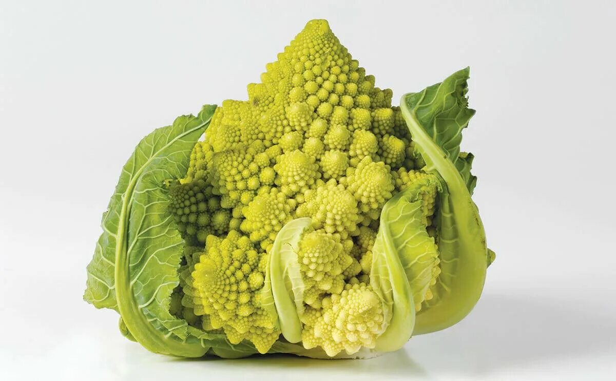 Кукумис ангурия. Кольраби венская белая. Овощ напоминающий. Бамия окра. Артишоки, спаржа латук.