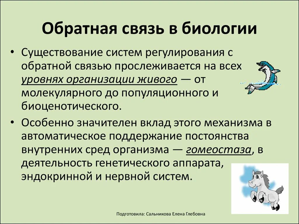 Помочь обратная связь. Обратные связи это в биологии. Развивающая Обратная связь. Принцип обратной связи биология. Примеры обратной связи в биологии.