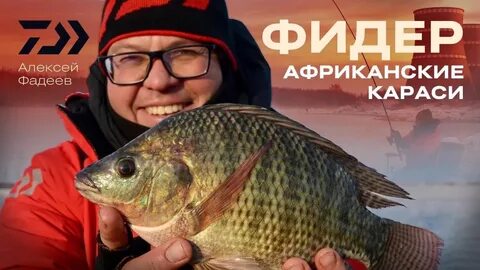 Карась африка песня