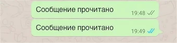 Отчет о прочтении ватсап. Отчет о прочтении сообщения. Сообщение прочитано. Отчёт о прочтении в ватсапе что это.