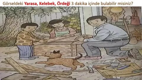 Японский тест мышь