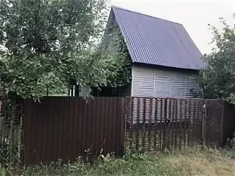 Сады металлург 3 липецк. Снт мелиоратор волгоград. Дачный липецк фото. Дачи в липецке. Дачи в липецке.