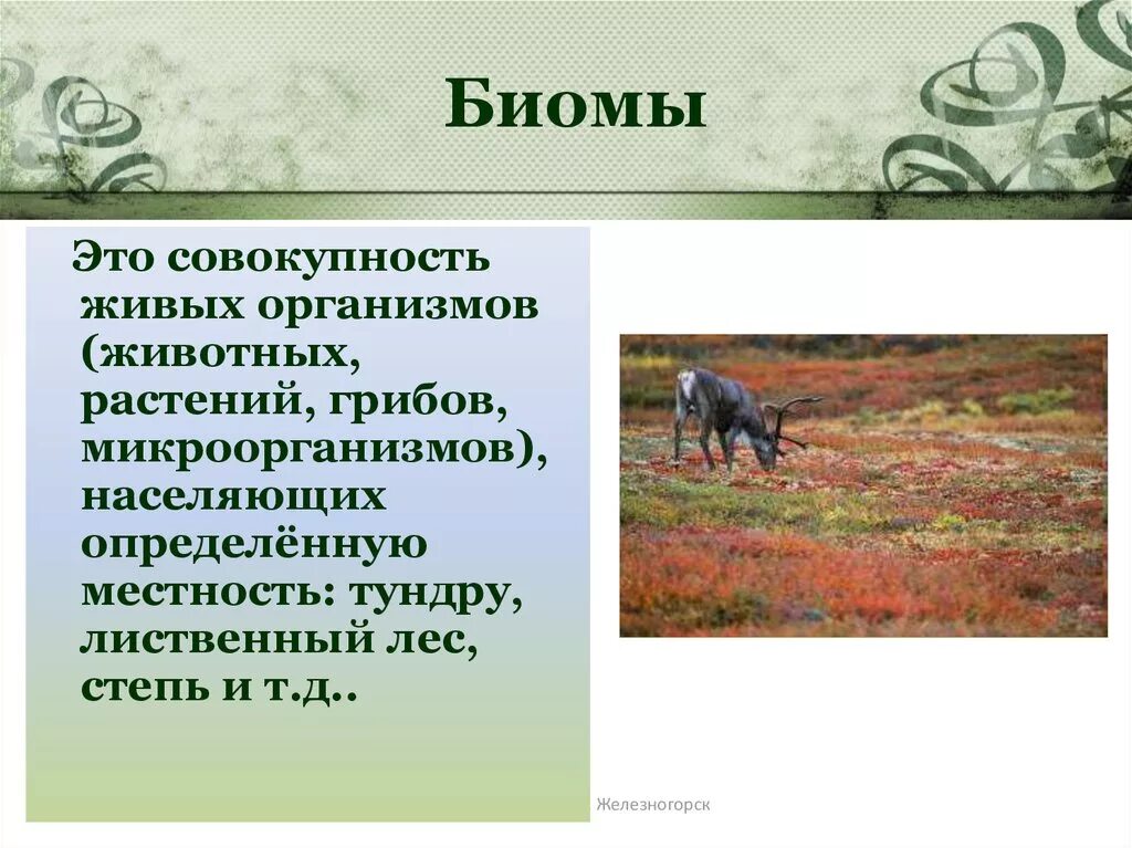 Совокупность животных организмов. Особенности лесного и степного биомов. Краткая характеристика Биома степи леса. Организм это животное а если вместе все то биомы. Совокупность видов растений и животных длительное время