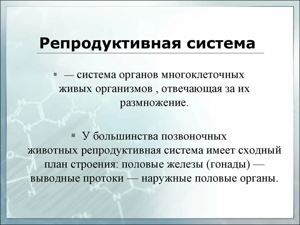 Что составляет основу репродуктивной системы