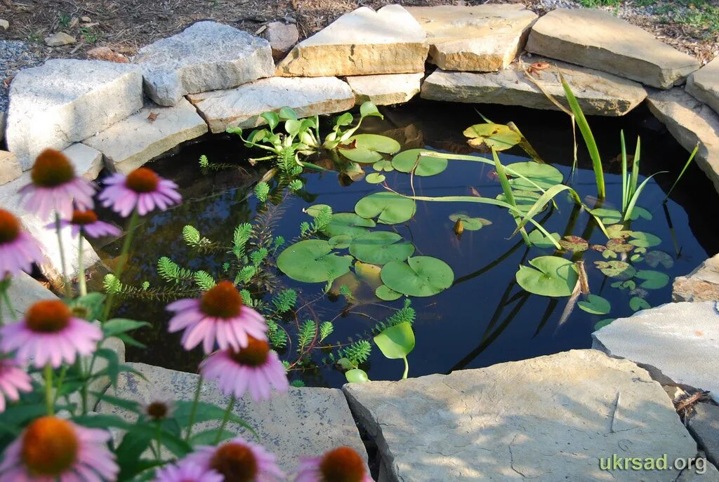 почва водоема. дренажный пруд на участке. почвенная влага. река рио тинто. химическое озеро черная дыра дзержинск.