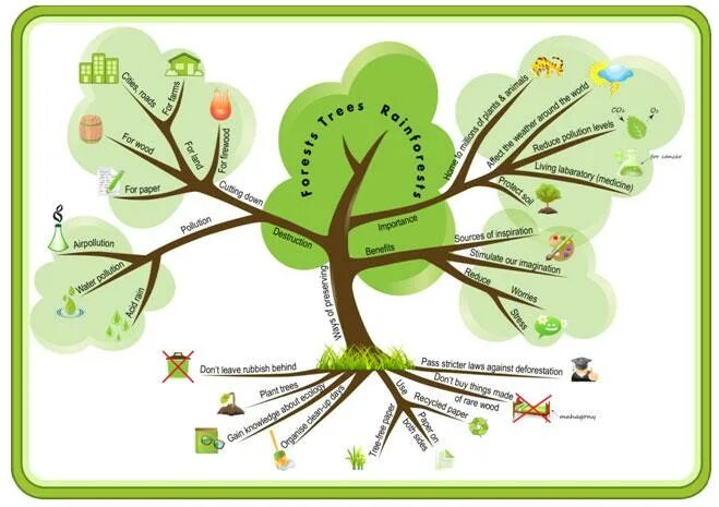 Интеллектуальная карта по природе. Дерево экология. Ментальная карта экология. Интеллект карта эколога. Экологические тексты на английском