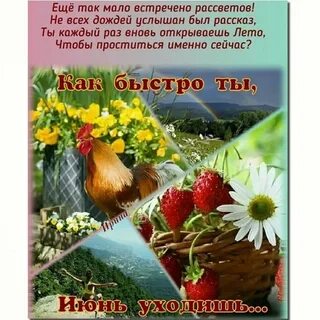 Июня текущего года