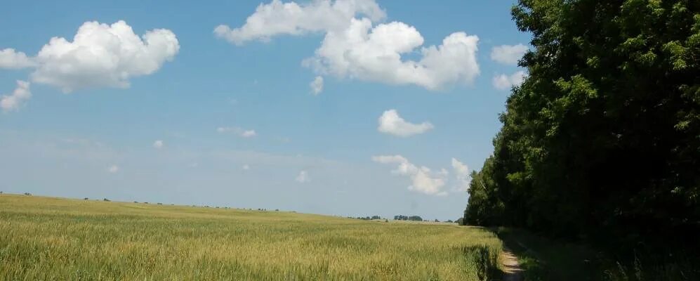 Линия орловская область. Село Паньково Орловская область. Новодеревенька Кромской район. Поливаново Кромской район. Похвистнево Орловская область.