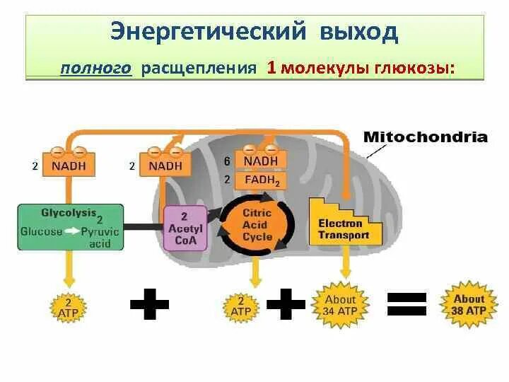 Рассчитать энергетический выход реакции