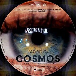 Cosmos personality test