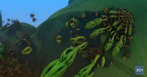 Plant aliens