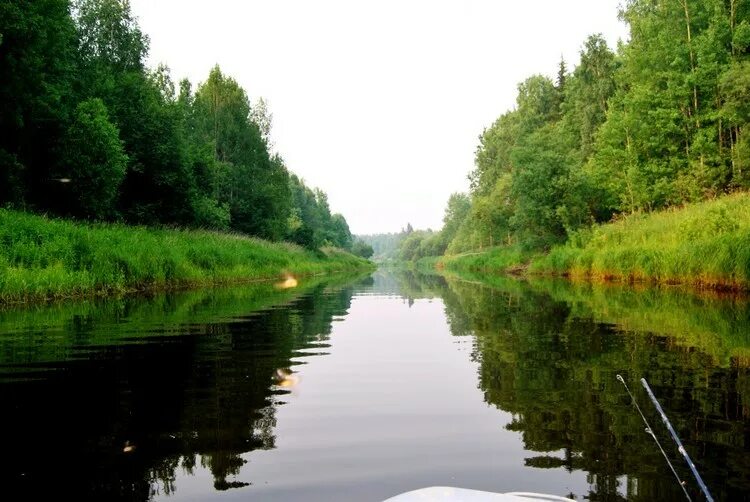 Плотниково томская область бакчарский. Река Галка Бакчарского района. Река Галка Томская область. Река Бакчар Томская область. Плотниково Бакчарский район.