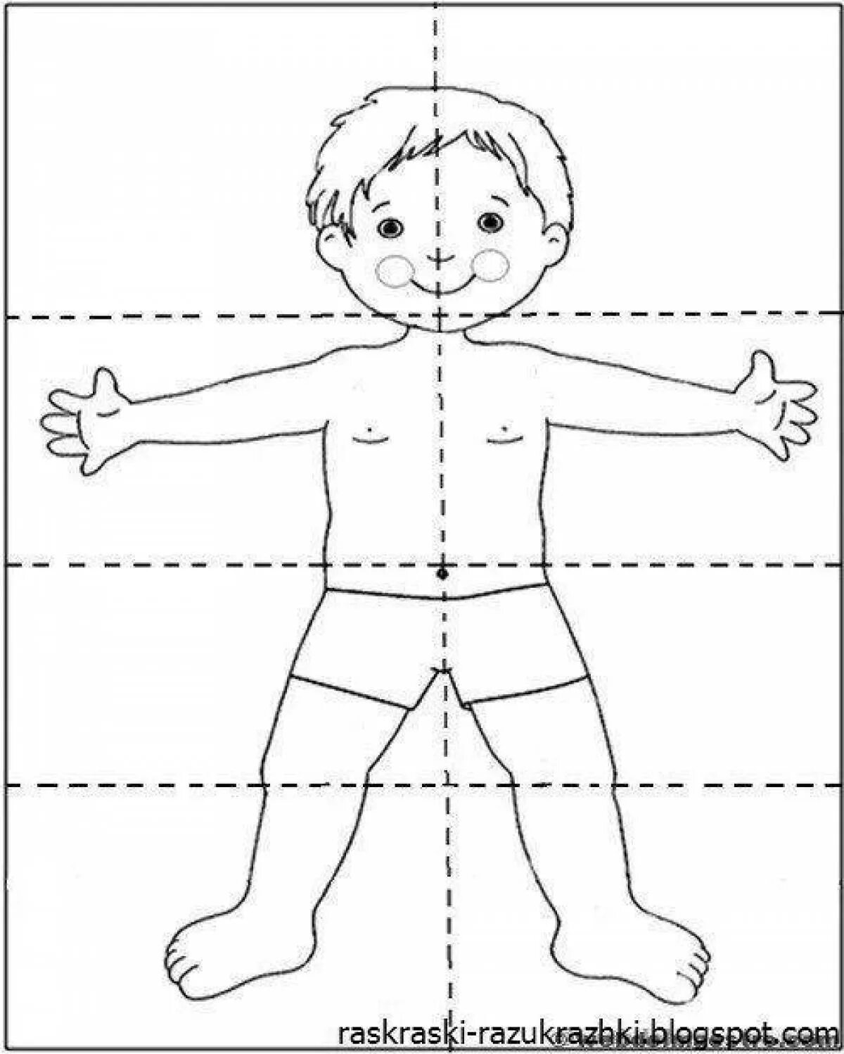 Собрать человека по частям. Части тела человека задания. Части тела человека раскраска. Человек части тела для дошкольников. Тело человека задания для детей.