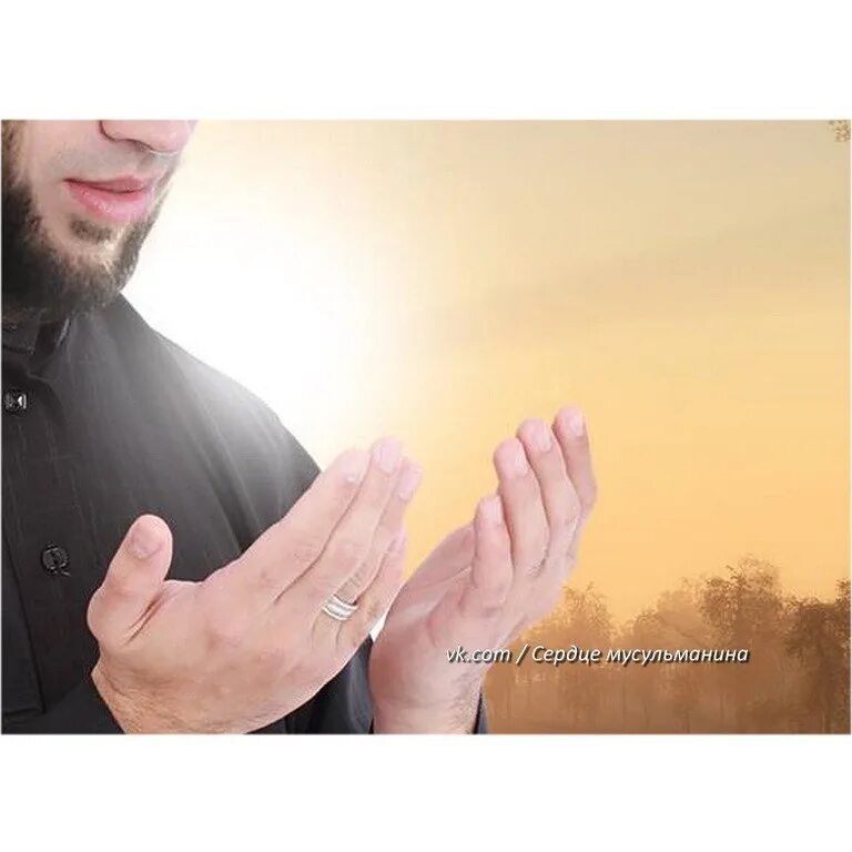Мольба дуа. Мусульманские руки. Руки молящегося мусульманина.
