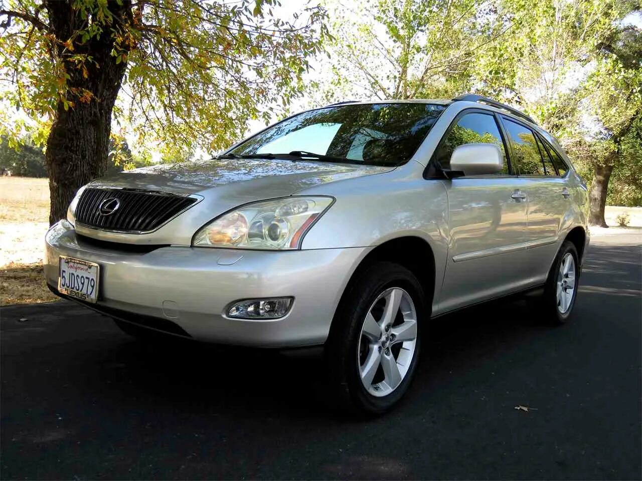 Лексус 300 2000 года. Lexus rx330 2004. Lexus RX 2004. Лексус РХ 330 2004. 330 Rx330 Lexus.