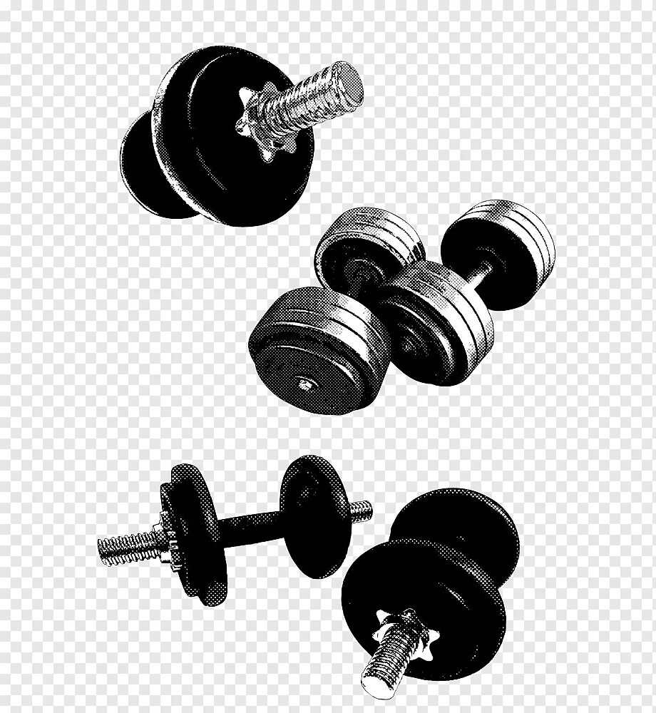 Load weights. Гантели. Штанга. Гантели вектор. Тренажер гантель штанг.