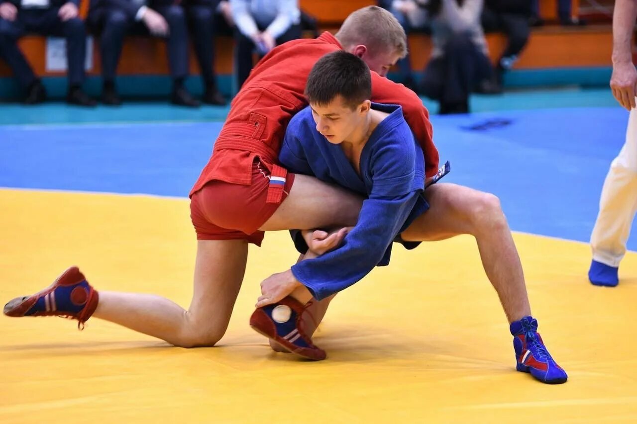 Самбо соревнования. Соревнования по самбо балаково. Ивентьев александр владимирович самбо. Самбо сегодня соревнования. Самбо невьянск.