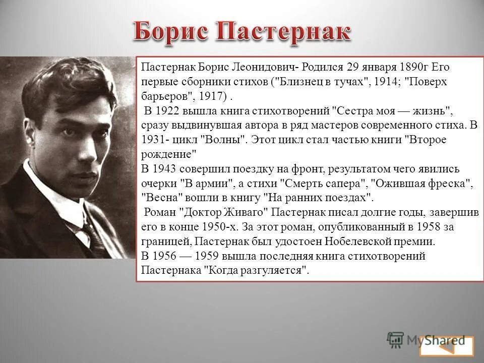 Идея стихотворения близнецы