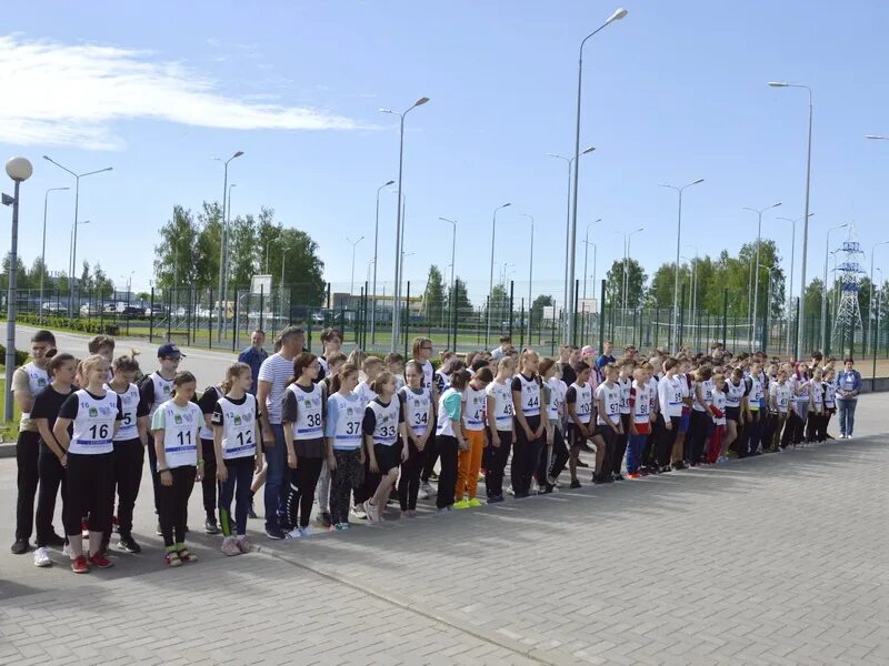 13 школа места