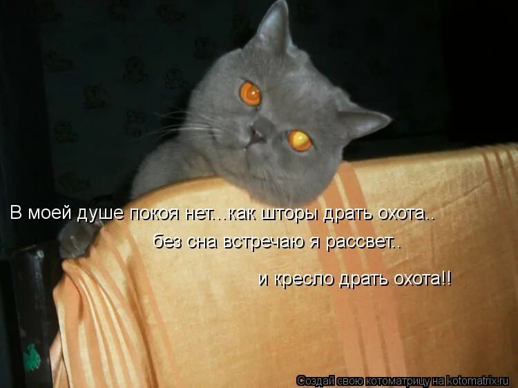 И нет нам покоя гори но живи погоня погоня погоня в горячей крови. Песня погоня. Не зная ни сна и не отдыха при лунном и солнечном свете. И нет нам покоя гори но живи. Ни днем ни ночью нет покоя.