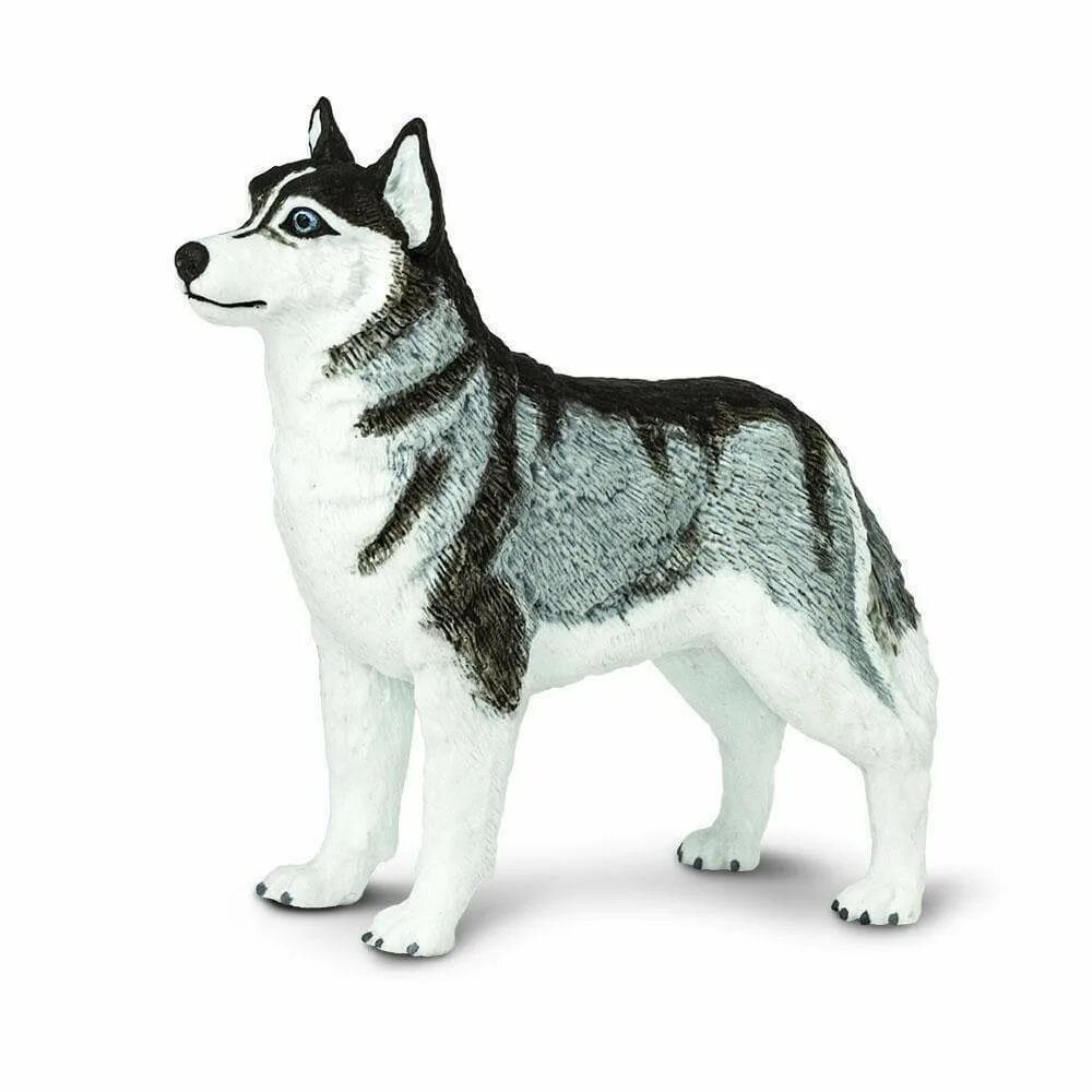 Игрушка хаски купить. Сафари Лтд фигурка хаски. Schleich Сибирские хаски. Фигурка хаски шляйх 2007. 16835 Schleich хаски.