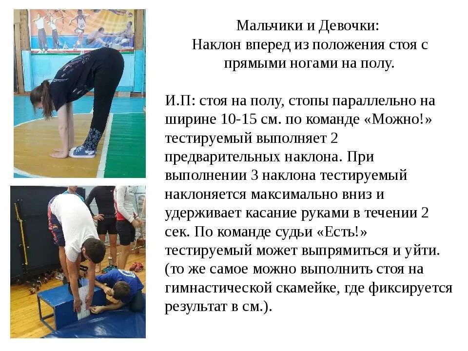 Разновидности спортивных соревнований. Результаты занятий физическими упражнениями. Наклон туловища вперед из положения сидя. Планки упражнения. Упражнения для развития силы.