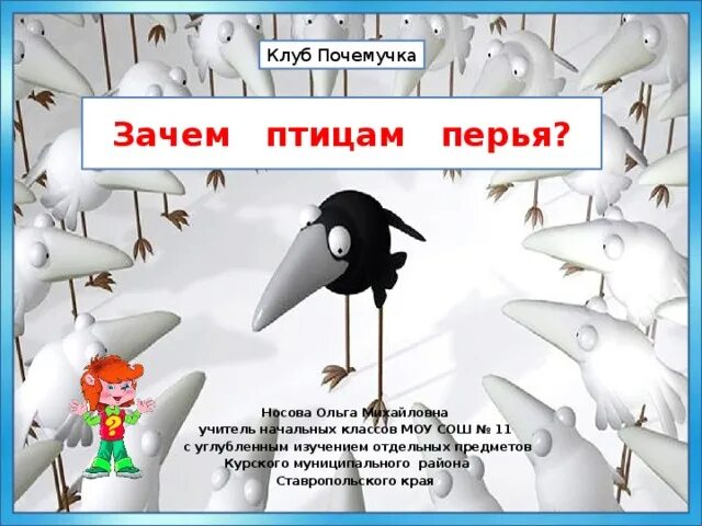 Зачем птицам. Зачем птицам перья. Опыт с перьями птиц в детском. Опыты с перьями птиц для дошкольников.