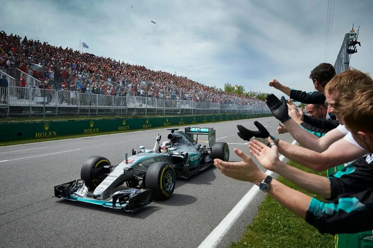 Формула 1 50. Mercedes f1 2015. Lewis Hamilton 2015. Lewis Hamilton f1. Formula 1 Mercedes.