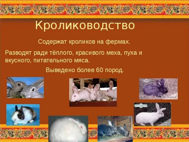 Проект животноводство 4 класс распечатать Презентация: Животноводство Окружающий мир Презентации 4 класс