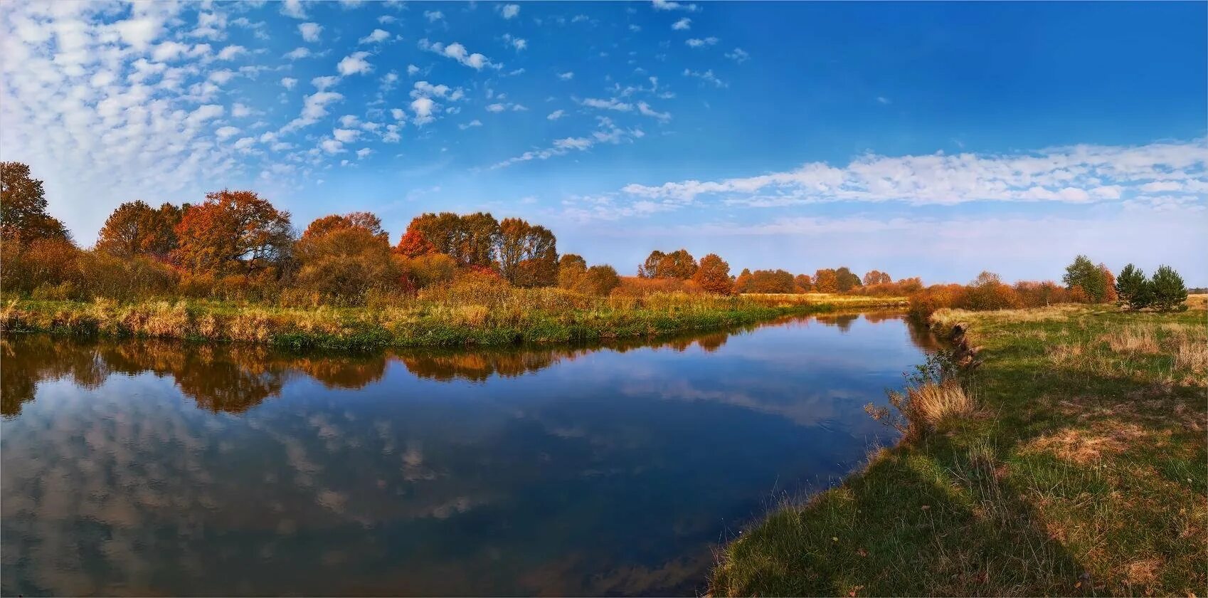 Алей беларуси. Белоруссия пейзаж Хутор. Белоруссия природа Пинс. Полесье природа Беларусь. Климовичи Беларусь природа.