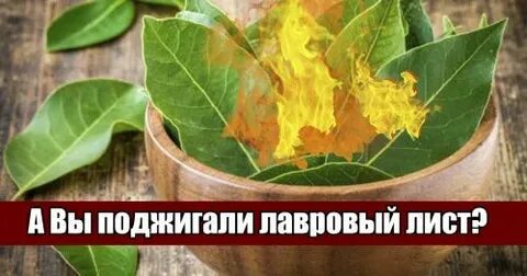 Зажечь лавровый лист