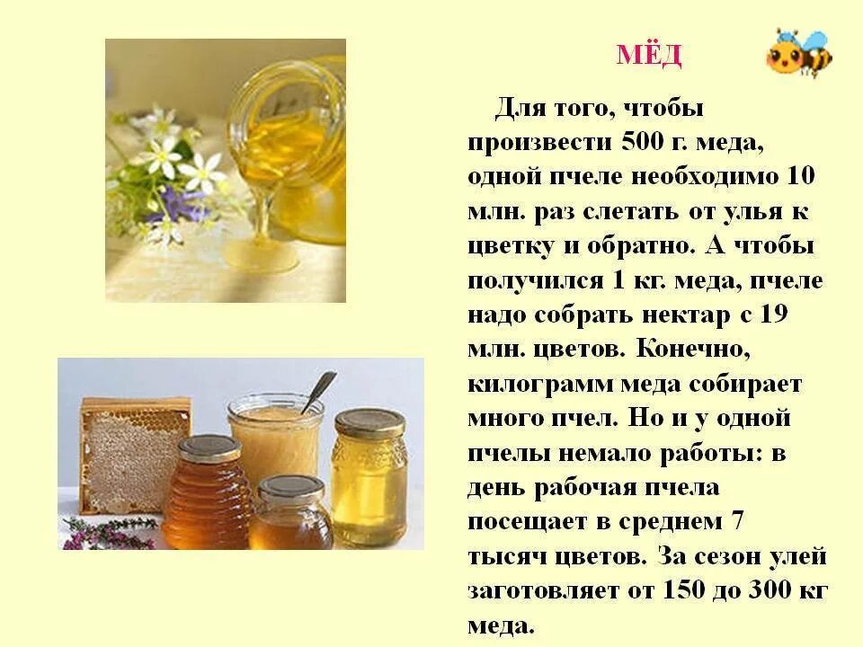 Первый мед и третий мед. Мед для презентации. Прнзентация на тему мёд. Сообщение про мед. Описание меда.