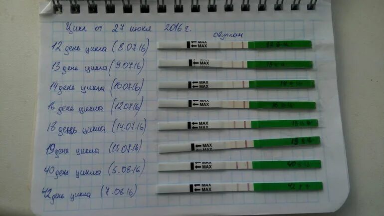 Мониторинг овуляции. Отслеживание овуляции по тестам. График тестов на овуляцию. Графики овуляции по тестам. Температура базальная тест отрицательный