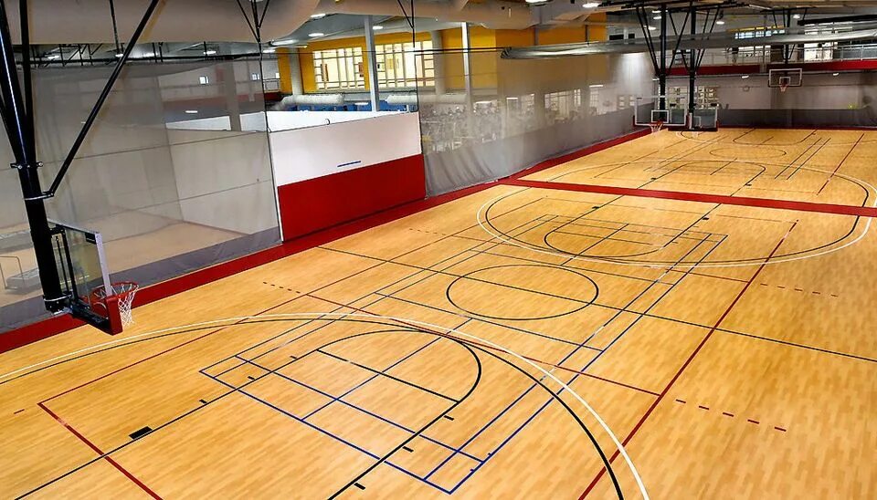 Спортивный линолеум gerflor taraflex evolution. Taraflex sport m. Спортивное покрытие taraflex evolution. Taraflex sport m. Taraflex performance uni.